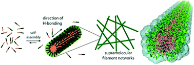Graphical abstract: Isomeric control of the mechanical properties of supramolecular filament hydrogels