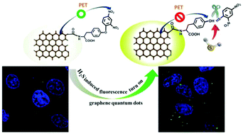 Graphical abstract: Graphene quantum dots based fluorescence turn-on nanoprobe for highly sensitive and selective imaging of hydrogen sulfide in living cells