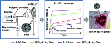 Graphical abstract: Biphasic drug release from electrospun polyblend nanofibers for optimized local cancer treatment
