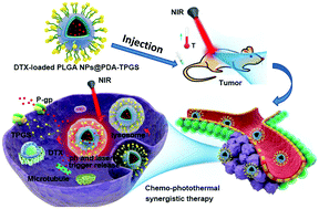 Graphical abstract: A multifunctional nanoplatform for cancer chemo-photothermal synergistic therapy and overcoming multidrug resistance