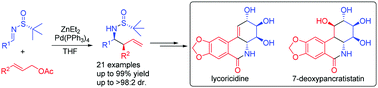 Graphical abstract: Asymmetric cinnamylation of N-tert-butanesulfinyl imines with cinnamyl acetates: total syntheses of (+)-lycoricidine and (+)-7-deoxypancratistatin