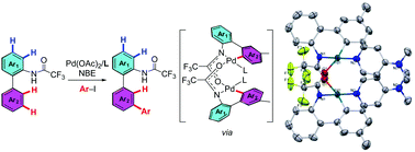 Graphical abstract: Palladium-catalyzed interannular meta-C–H arylation