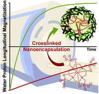 Graphical abstract: Crosslinked shells for nano-assembled capsules: a new encapsulation method for smaller Gd3+-loaded capsules with exceedingly high relaxivities