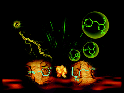 Graphical abstract: Palladium-catalyzed cascade metallo-ene/Suzuki coupling reaction of allenamides
