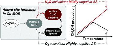 Graphical abstract: Distinct activation of Cu-MOR for direct oxidation of methane to methanol