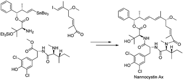 Graphical abstract: Total synthesis of nannocystin Ax