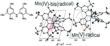 Graphical abstract: Mn(iv) and Mn(v)-radical species supported by the redox non-innocent bis(2-amino-3,5-di-tert-butylphenyl)amine pincer ligand