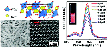 Graphical abstract: Surface-controlled preparation of EuWO4(OH) nanobelts and their hybrid with Au nanoparticles as a novel enzyme-free sensing platform towards hydrogen peroxide