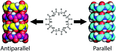 Graphical abstract: Parallel and antiparallel cyclic d/l peptide nanotubes