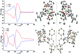 Graphical abstract: Enhanced single-ion magnetic and ferroelectric properties of mononuclear Dy(iii) enantiomeric pairs through the coordination role of chiral ligands