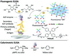 Graphical abstract: A biosensor based on self-clickable AIEgen: a signal amplification strategy for ultrasensitive immunoassays