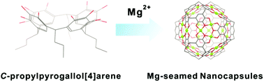 Graphical abstract: Self-assembly of magnesium-seamed hexameric pyrogallol[4]arene nanocapsules