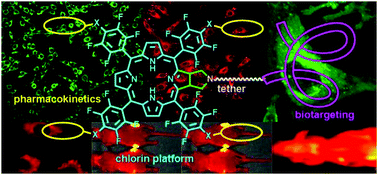Graphical abstract: Facile synthesis of chlorin bioconjugates by a series of click reactions