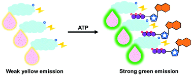 Graphical abstract: A self-assembled amphiphilic imidazolium-based ATP probe