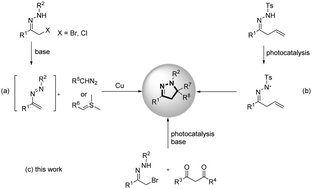 Graphical abstract: Photocatalytic radical cyclization of α-halo hydrazones with β-ketocarbonyls: facile access to substituted dihydropyrazoles