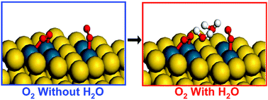 Graphical abstract: H2O-Improved O2 activation on the Pd–Au bimetallic surface