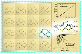 Graphical abstract: A square-planar nickel dithiolate complex as an efficient molecular catalyst for the electro- and photoreduction of protons
