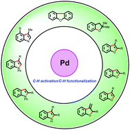 Graphical abstract: Palladium-catalyzed benzofuran and indole synthesis by multiple C–H functionalizations