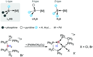 Graphical abstract: Donor ligands based on tricoordinate boron formed by B–H-activation of bis(phosphine)boronium salts