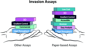 Graphical abstract: 3D cellular invasion platforms: how do paper-based cultures stack up?