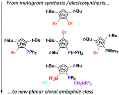 Graphical abstract: A general diastereoselective synthesis of highly functionalized ferrocenyl ambiphiles enabled on a large scale by electrochemical purification