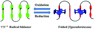 Graphical abstract: Reversible conversion between a pleated oligo-tetrathiafulvalene radical foldamer and folded donor–acceptor [3]pseudorotaxane under redox conditions