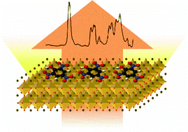 Graphical abstract: Exploration of organic–inorganic hybrid perovskites for surface-enhanced infrared spectroscopy of small molecules