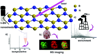 Graphical abstract: Hexagonal boron nitride nanosheets as a multifunctional background-free matrix to detect small molecules and complicated samples by MALDI mass spectrometry
