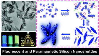 Graphical abstract: One-dimensional silicon nanoshuttles simultaneously featuring fluorescent and magnetic properties