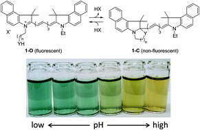 Graphical abstract: pH-Responsive near-infrared fluorescent cyanine dyes for molecular imaging based on pH sensing