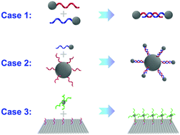 Graphical abstract: Pt supraparticles with controllable DNA valences for programmed nanoassembly