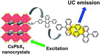 Graphical abstract: Triplet sensitization by perovskite nanocrystals for photon upconversion