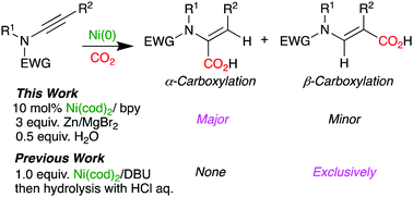 Graphical abstract: Nickel-catalyzed hydrocarboxylation of ynamides with CO2 and H2O: observation of unexpected regioselectivity