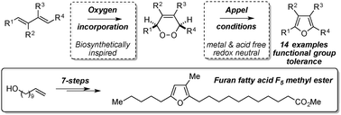 Graphical abstract: A biosynthetically inspired route to substituted furans using the Appel reaction: total synthesis of the furan fatty acid F5