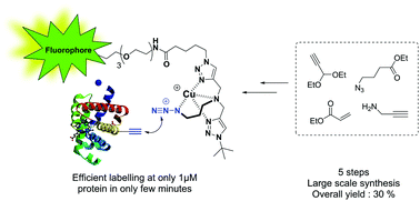 Graphical abstract: Scalable and practical synthesis of clickable Cu-chelating azides