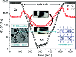 Graphical abstract: A mechano-responsive supramolecular metal–organic framework (supraMOF) gel material rich in ZIF-8 nanoplates