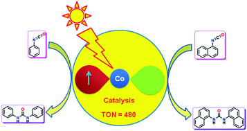 Graphical abstract: Monoradical-containing four-coordinate Co(iii) complexes: homolytic S–S and Se–Se bond cleavage and catalytic isocyanate to urea conversion under sunlight