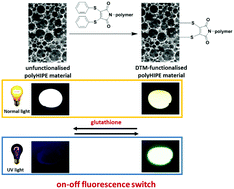 Graphical abstract: Reversible surface functionalisation of emulsion-templated porous polymers using dithiophenol maleimide functional macromolecules