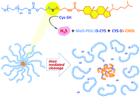 Graphical abstract: Garlic-inspired trisulfide linkers for thiol-stimulated H2S release