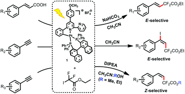 Graphical abstract: Platinum(ii) photo-catalysis for highly selective difluoroalkylation reactions