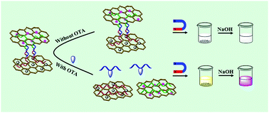 Graphical abstract: A novel universal colorimetric sensor for simultaneous dual target detection through DNA-directed self-assembly of graphene oxide and magnetic separation