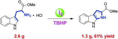 Graphical abstract: Direct intramolecular amination of tryptophan esters to prepare pyrrolo[2,3-b]indoles