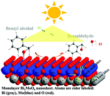 Graphical abstract: Development and photocatalytic mechanism of monolayer Bi2MoO6 nanosheets for the selective oxidation of benzylic alcohols