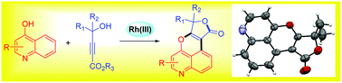 Graphical abstract: Expeditious synthesis of pyrano[2,3,4-de]quinolines via Rh(iii)-catalyzed cascade C–H activation/annulation/lactonization of quinolin-4-ol with alkynes