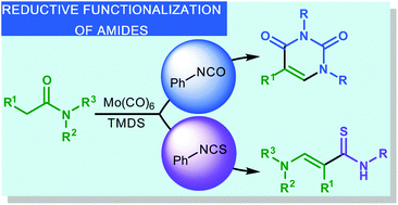 Graphical abstract: Facile preparation of pyrimidinediones and thioacrylamides via reductive functionalization of amides
