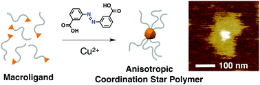 Graphical abstract: Anisotropic coordination star polymers realized by self-sorting core modulation