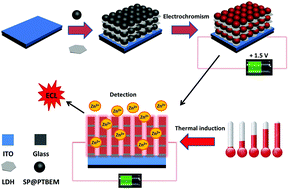 Graphical abstract: A switchable electrochromism and electrochemiluminescence bifunctional sensor based on the electro-triggered isomerization of spiropyran/layered double hydroxides