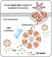 Graphical abstract: Supramolecular core–glycoshell polythiophene nanodots for targeted imaging and photodynamic therapy