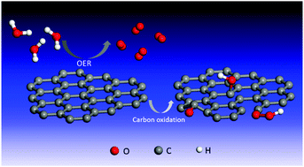 Graphical abstract: Carbon oxidation reactions could misguide the evaluation of carbon black-based oxygen-evolution electrocatalysts