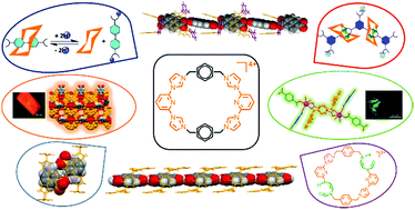Graphical abstract: Flexible imidazolium macrocycles: building blocks for anion-induced self-assembly